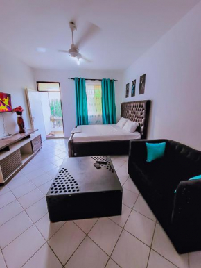 Dasha Studio apartment Bamburi D4